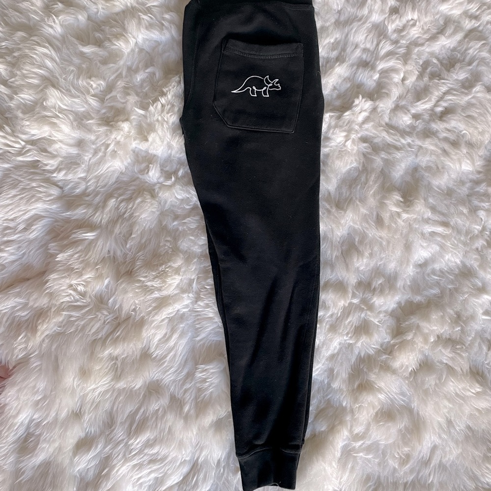 Try Guys Triceratops black joggers small